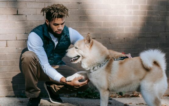rocky kanaka net worth